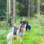 Das Sommerferienprogramm 2024 ist da!